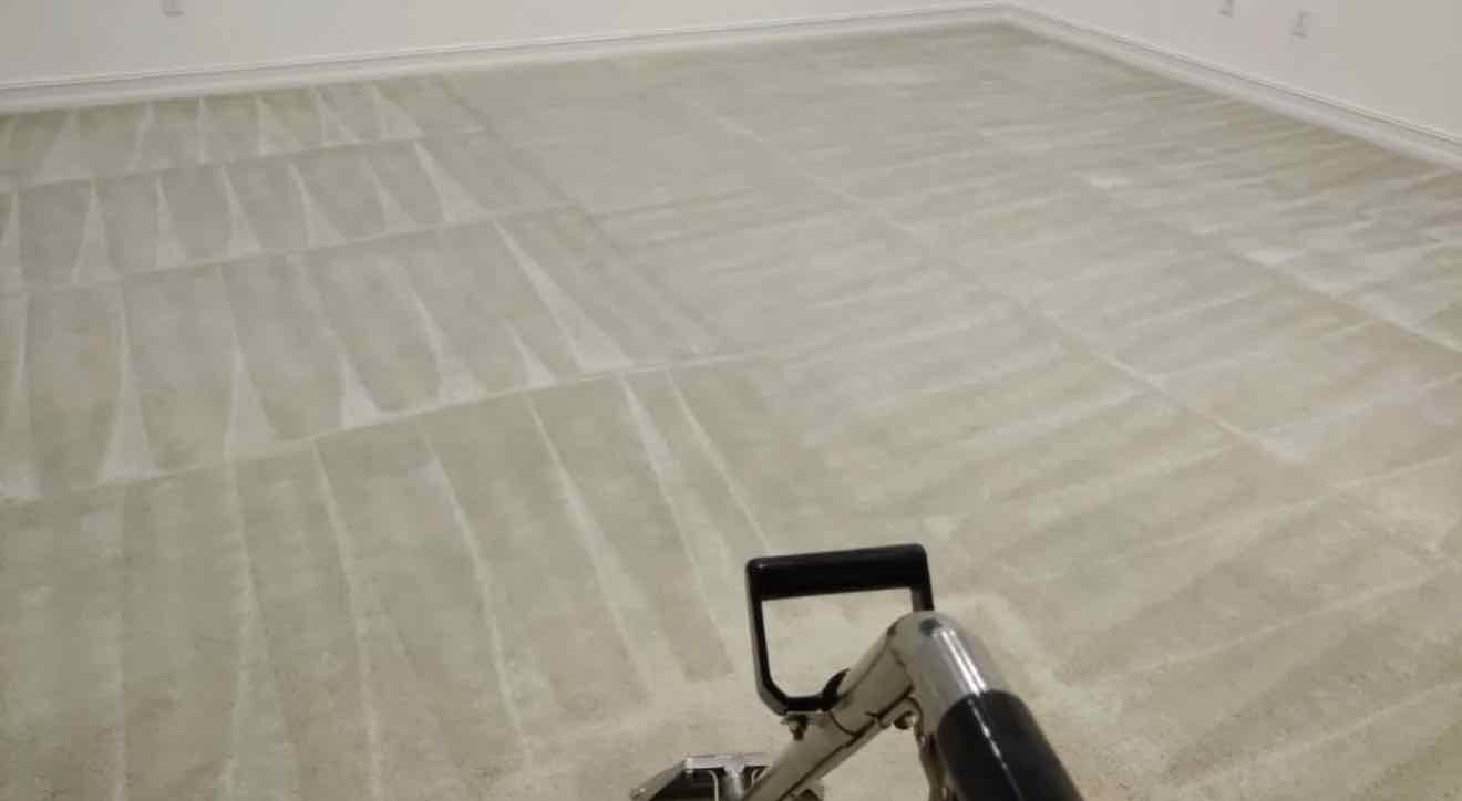 Clean carpet in a Kendall home