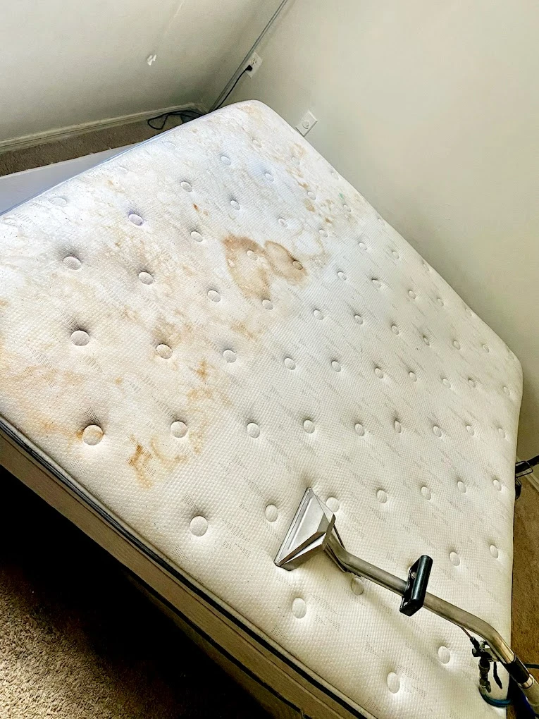 A heavily soiled mattress being steam cleaned