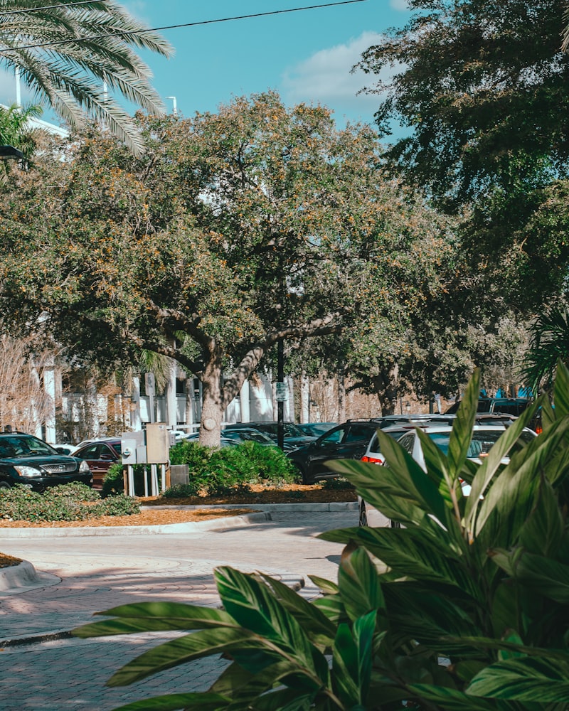 Pembroke Pines, Broward County